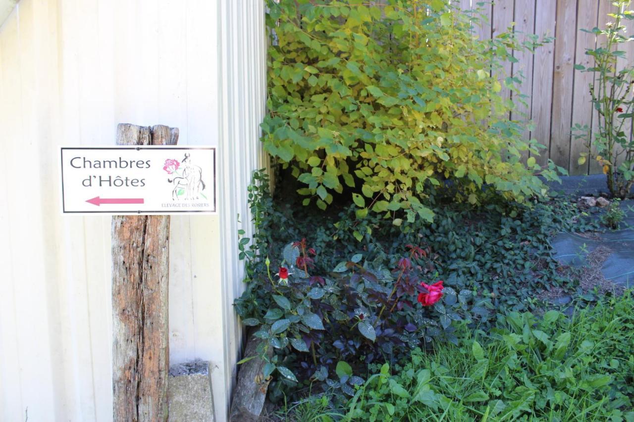 Chambre d'hôte en Vallée du Loir - Elevage des Rosiers Bazouges-sur-le-Loir Esterno foto