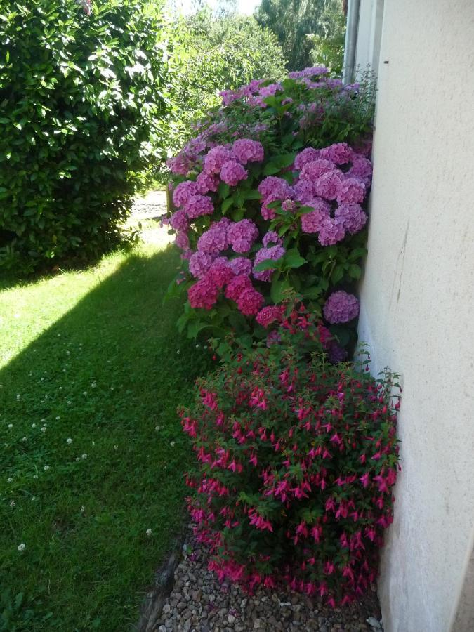 Chambre d'hôte en Vallée du Loir - Elevage des Rosiers Bazouges-sur-le-Loir Esterno foto