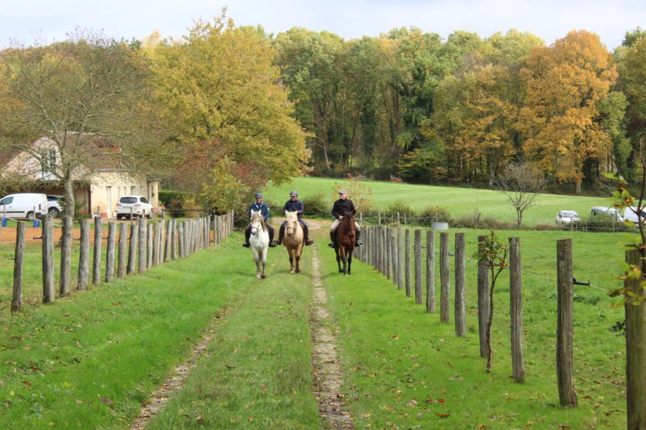 Chambre d'hôte en Vallée du Loir - Elevage des Rosiers Bazouges-sur-le-Loir Esterno foto